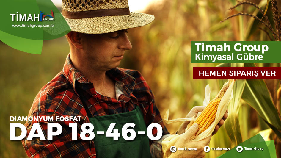 DAP 18-46-0 gübresi timah group mısır tarlası